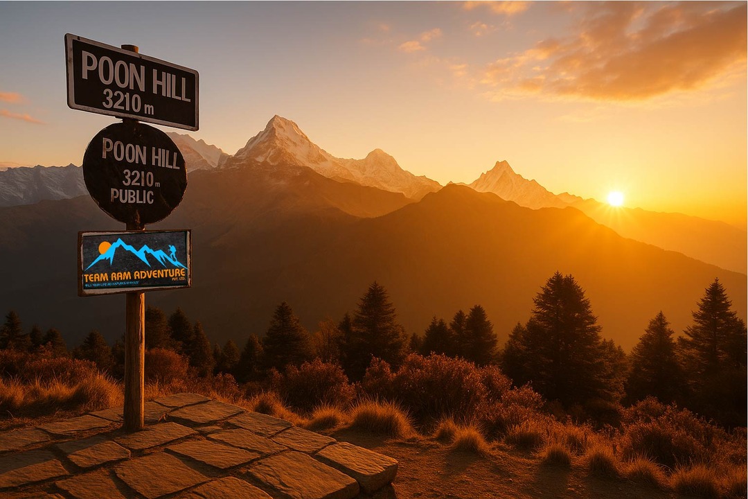 Short and Scenic: Why Pun Hill Trek Belongs on Your Bucket List